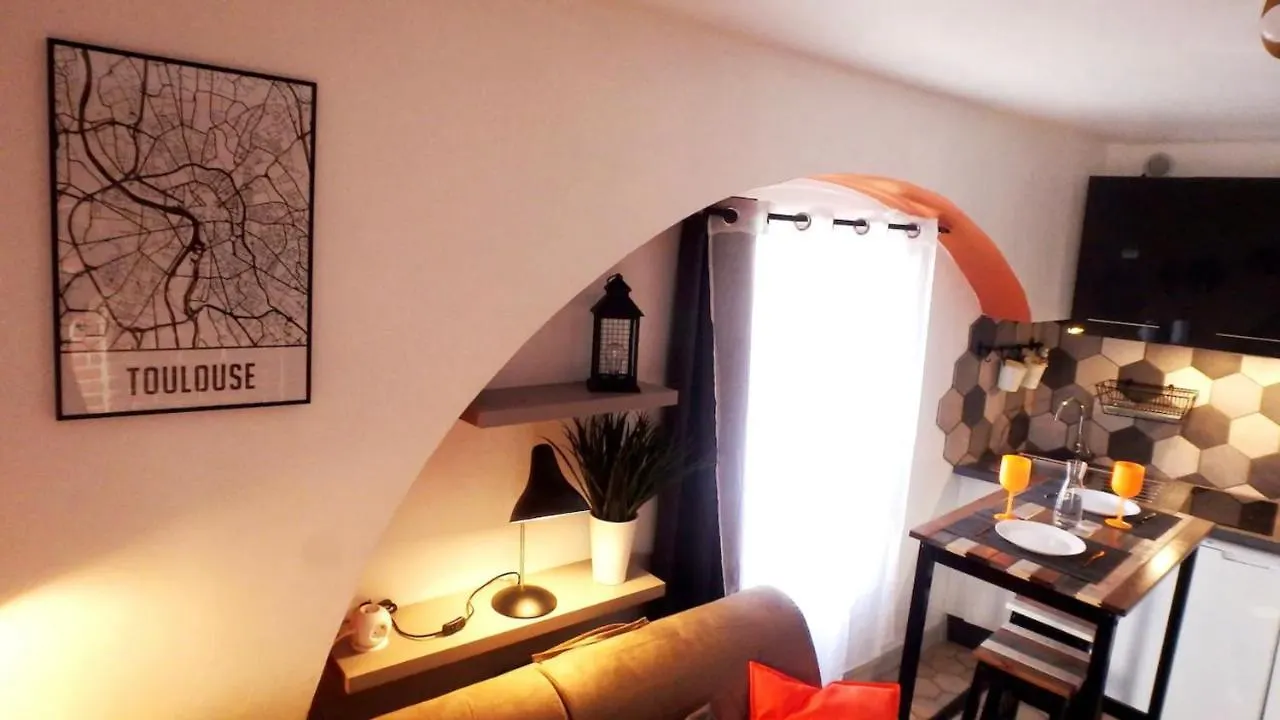 Apartment Barberina - Studio En Centre Ville Toulouse