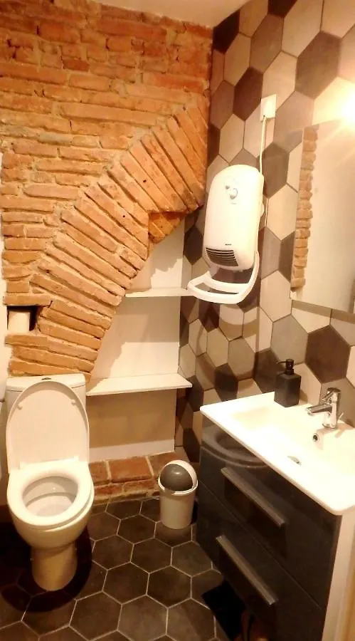 Barberina - Studio En Centre Ville Toulouse Apartment