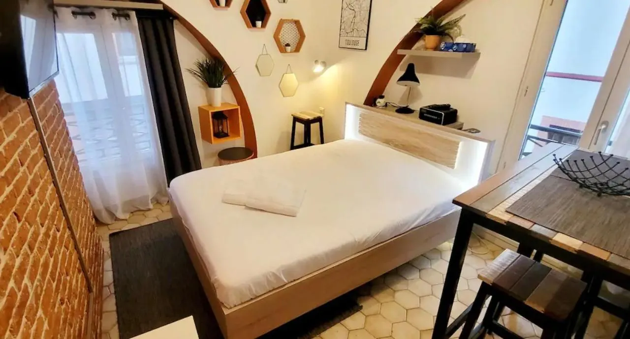 Barberina - Studio En Centre Ville Toulouse